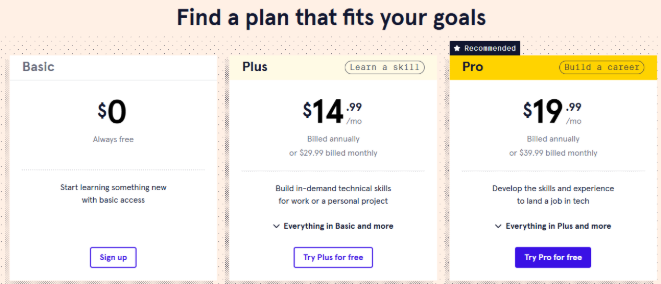 Codecademy Individual plan